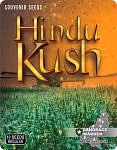 Hindu Kush Regular Seeds -Landrace Warden