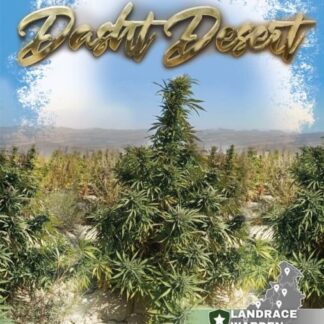 Dasht Desert Regular Seeds - Landrace Warden
