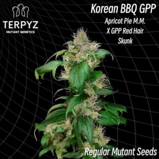 Korean BBQ GPP Regular Seeds -TerpyZ Mutant Genetics
