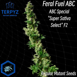 Feral Fuel ABC Regular Seeds -TerpyZ Mutant Genetics