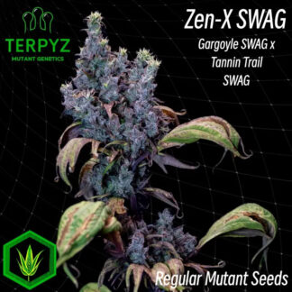 Zen-X Swag Regular Seeds - TerpyZ Mutant Genetics