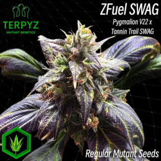 Zfuel Swag Regular Seeds - TerpyZ Mutant Genetics