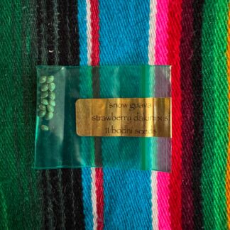 Bodhi Seeds - Snow Guava