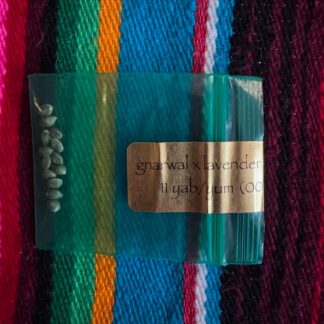 Bodhi Seeds - Gnarwal x Lavender Lemonaid (Yab Yum)