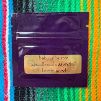 Bodhi Seeds - Babylon Buster