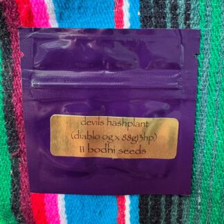 Bodhi Seeds - Devils Hashplant