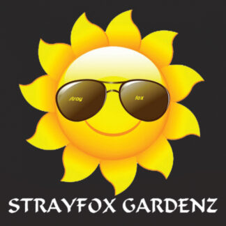 Strayfox Gardenz - Circle of Blessings