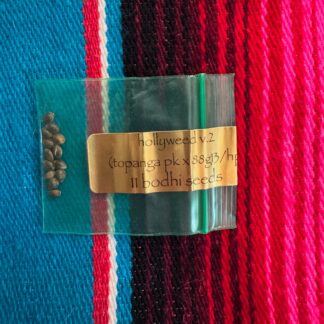Bodhi Seeds - Hollyweed V.2