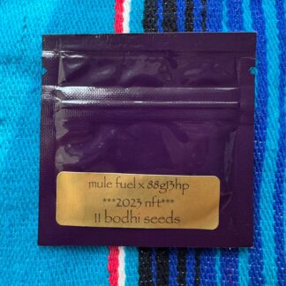 Bodhi Seeds - Mule Fule x 88g13/hp
