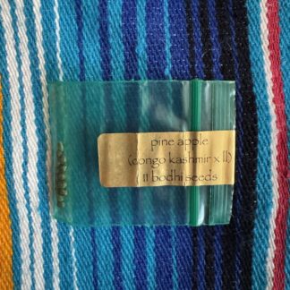 Bodhi Seeds - Pine Apple