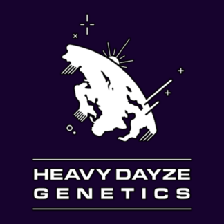 Heavy Dayze Genetics