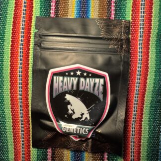 Heavy Dayze Genetics - Kyphi V2