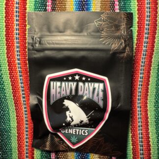 Heavy Dayze Genetics - Liquorice Mumma V2