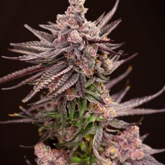 Lovin In Her Eyes - Depth Charge