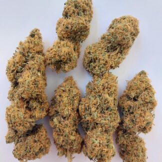 Ace Seeds - Magic Carrot