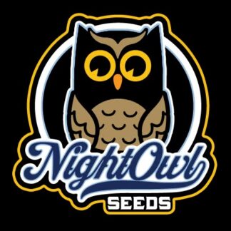 Night Owl Seeds