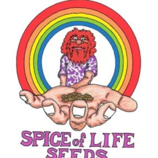 Spice of Life Seeds